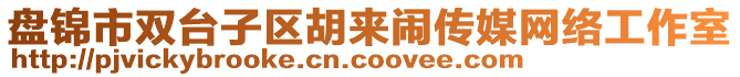 盤錦市雙臺子區(qū)胡來鬧傳媒網(wǎng)絡工作室