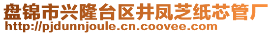 盤錦市興隆臺(tái)區(qū)井鳳芝紙芯管廠