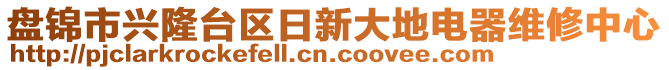 盤錦市興隆臺區(qū)日新大地電器維修中心