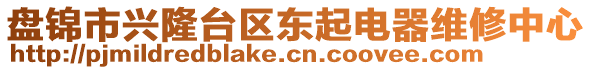 盤錦市興隆臺(tái)區(qū)東起電器維修中心