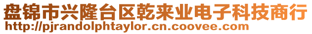 盤錦市興隆臺區(qū)乾來業(yè)電子科技商行