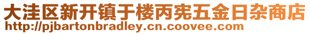 大洼區(qū)新開鎮(zhèn)于樓丙憲五金日雜商店