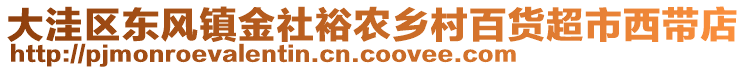 大洼區(qū)東風(fēng)鎮(zhèn)金社裕農(nóng)鄉(xiāng)村百貨超市西帶店