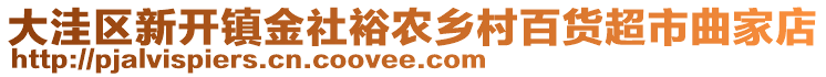 大洼區新開鎮金社裕農鄉村百貨超市曲家店
