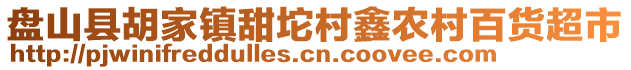 盤山縣胡家鎮(zhèn)甜坨村鑫農(nóng)村百貨超市