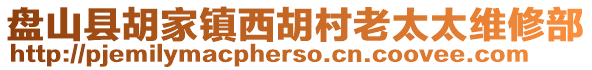 盤山縣胡家鎮(zhèn)西胡村老太太維修部