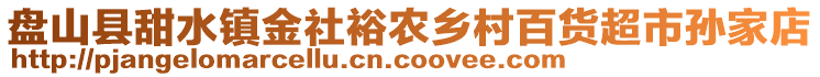 盤山縣甜水鎮(zhèn)金社裕農(nóng)鄉(xiāng)村百貨超市孫家店