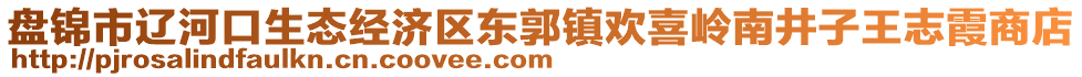 盤(pán)錦市遼河口生態(tài)經(jīng)濟(jì)區(qū)東郭鎮(zhèn)歡喜嶺南井子王志霞商店