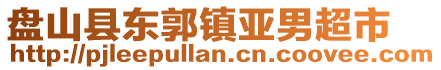 盤山縣東郭鎮(zhèn)亞男超市