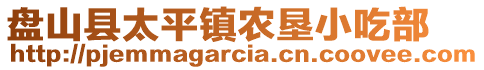 盤山縣太平鎮(zhèn)農(nóng)墾小吃部