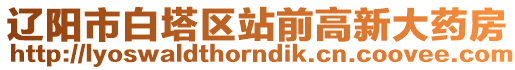 遼陽市白塔區站前高新大藥房