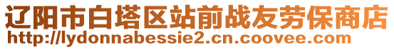 遼陽市白塔區(qū)站前戰(zhàn)友勞保商店