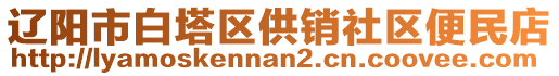 遼陽市白塔區(qū)供銷社區(qū)便民店