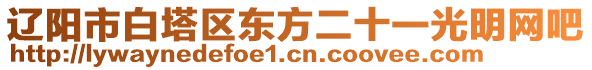 遼陽市白塔區(qū)東方二十一光明網吧