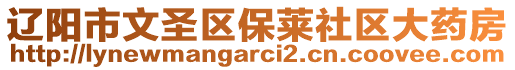 辽阳市文圣区保莱社区大药房