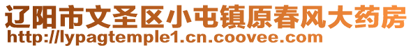 遼陽市文圣區(qū)小屯鎮(zhèn)原春風(fēng)大藥房