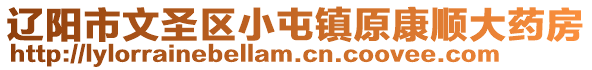 辽阳市文圣区小屯镇原康顺大药房