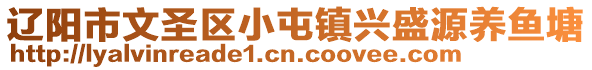 辽阳市文圣区小屯镇兴盛源养鱼塘