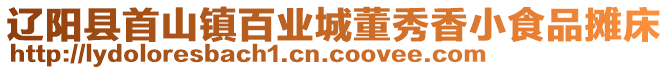 遼陽縣首山鎮(zhèn)百業(yè)城董秀香小食品攤床