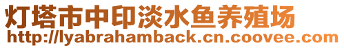 燈塔市中印淡水魚(yú)養(yǎng)殖場(chǎng)