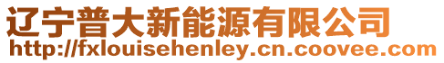 遼寧普大新能源有限公司