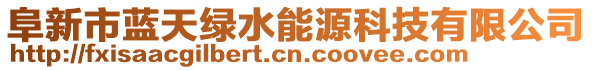 阜新市藍(lán)天綠水能源科技有限公司