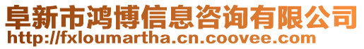 阜新市鴻博信息咨詢有限公司