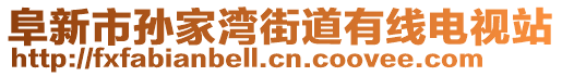 阜新市孫家灣街道有線電視站