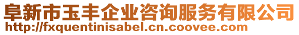 阜新市玉豐企業(yè)咨詢服務(wù)有限公司