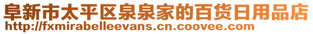 阜新市太平區(qū)泉泉家的百貨日用品店