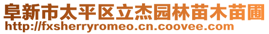 阜新市太平區(qū)立杰園林苗木苗圃