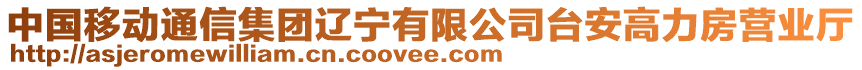 中國移動通信集團遼寧有限公司臺安高力房營業(yè)廳