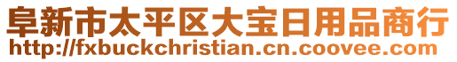 阜新市太平區(qū)大寶日用品商行