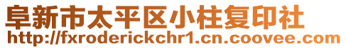 阜新市太平區(qū)小柱復(fù)印社