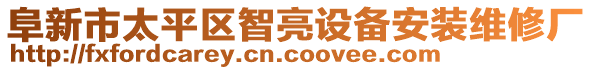 阜新市太平區(qū)智亮設備安裝維修廠