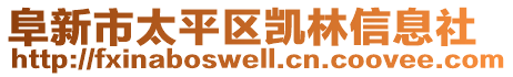 阜新市太平區(qū)凱林信息社