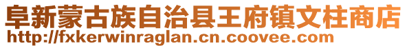 阜新蒙古族自治縣王府鎮文柱商店