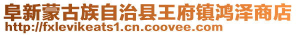 阜新蒙古族自治縣王府鎮鴻澤商店