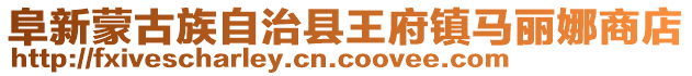 阜新蒙古族自治縣王府鎮(zhèn)馬麗娜商店