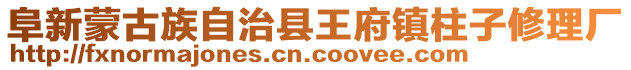 阜新蒙古族自治縣王府鎮(zhèn)柱子修理廠