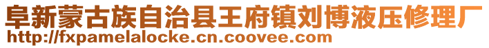 阜新蒙古族自治縣王府鎮劉博液壓修理廠