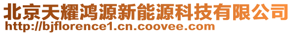 北京天耀鴻源新能源科技有限公司