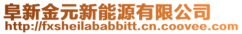 阜新金元新能源有限公司