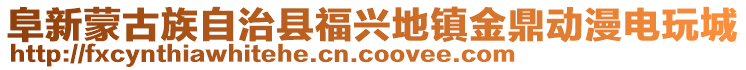 阜新蒙古族自治縣福興地鎮(zhèn)金鼎動(dòng)漫電玩城