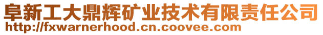 阜新工大鼎輝礦業(yè)技術有限責任公司