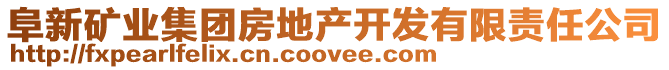 阜新礦業(yè)集團(tuán)房地產(chǎn)開發(fā)有限責(zé)任公司