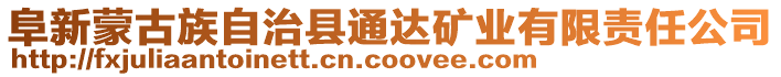 阜新蒙古族自治縣通達礦業(yè)有限責任公司