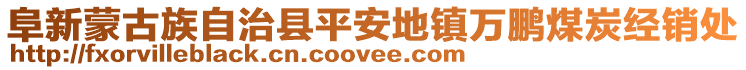 阜新蒙古族自治縣平安地鎮(zhèn)萬鵬煤炭經(jīng)銷處