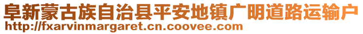 阜新蒙古族自治縣平安地鎮(zhèn)廣明道路運(yùn)輸戶