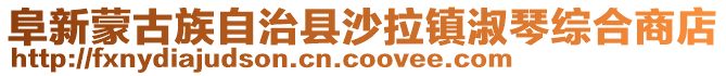 阜新蒙古族自治县沙拉镇淑琴综合商店